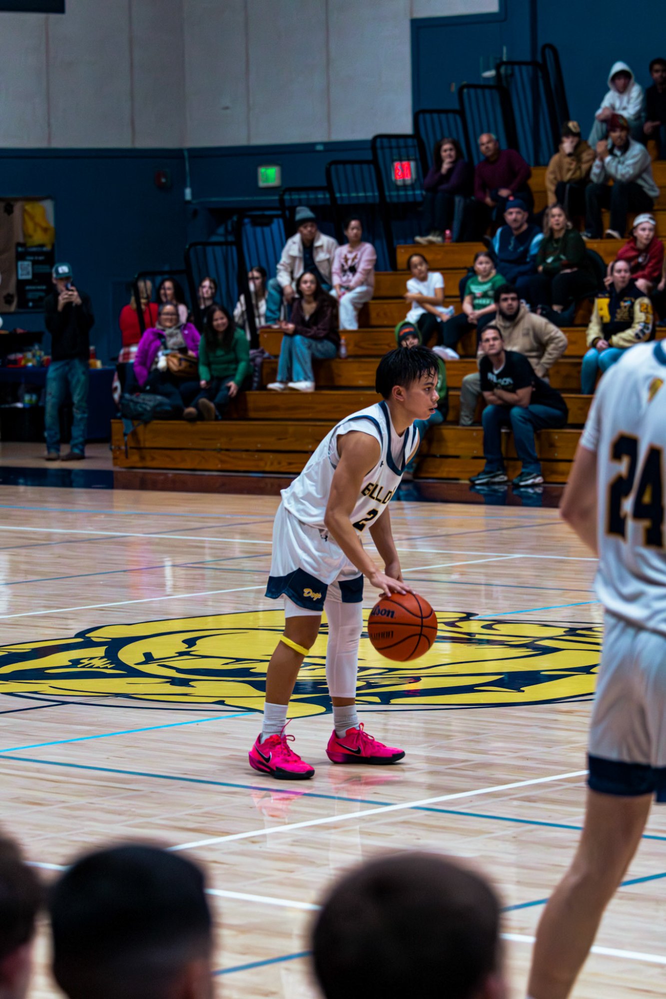 Basketball game stands